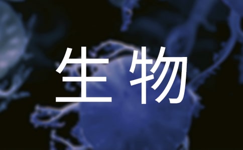 Rƪ