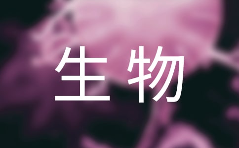 ]4ƪ