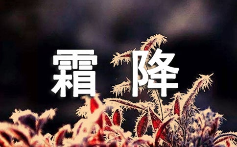 ˪