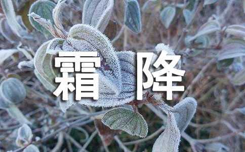 ʮĹ(ji)˪