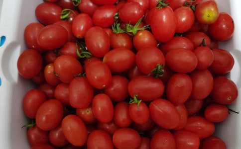 ۳Եˮĺϼƪ