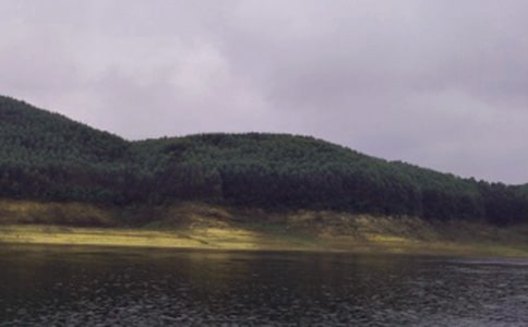 ˮ2007깤Y(ji)