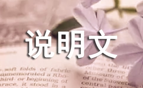 ը?xing)lf(shu)