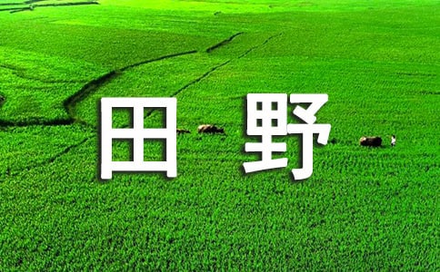 (sh)õҰļ4ƪ