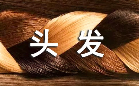 茑^l(f)ľ