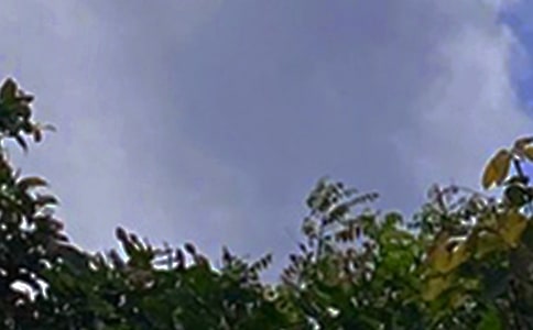 (jng)簲ӅRx70䣩