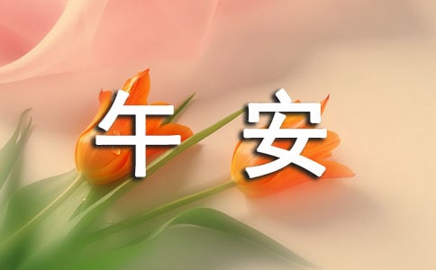 (jng)ů簲Z䛴ȫx50䣩