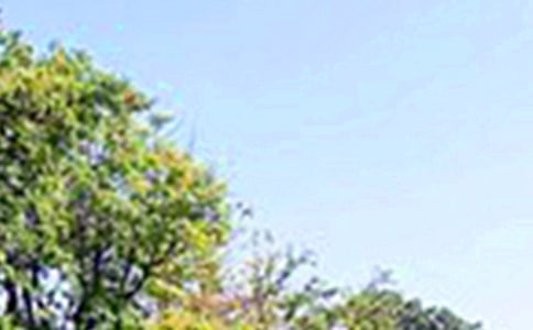 (jng)簲60侫x