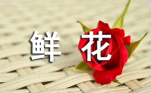 r15ƪϼ