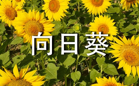 տ^ӛ