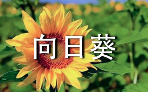 տ[3ƪ]