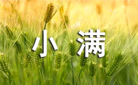 СMĆӣx30䣩