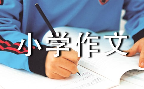 ^׾СW(xu)
