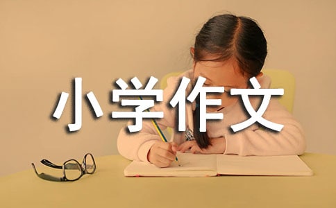 ʵĻ(dng)СW(xu)15ƪ