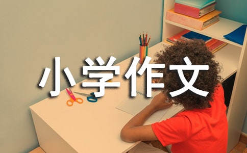 ngʮСW(xu)