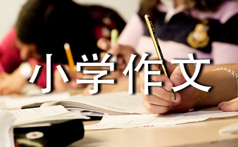 ԺԺСW(xu)