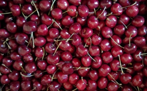 ժ15ƪ(ϼ)