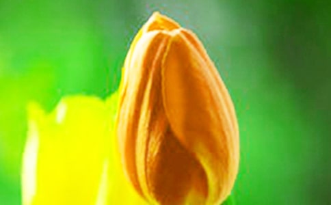 Ĺ