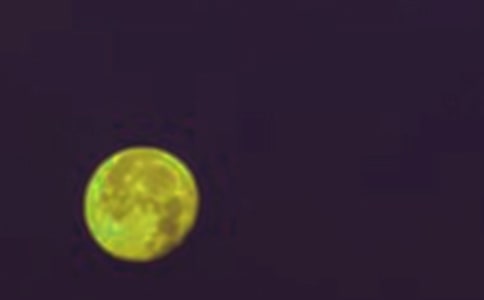 ҹA5ƪ[؂]