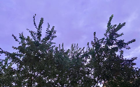 簲Z䛡᡿