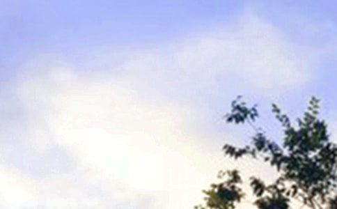 ̵õ簲ZZ䛴󼯺58