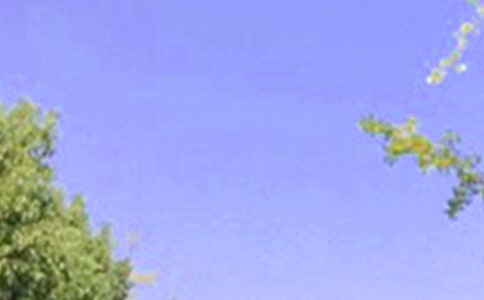 Ã(yu)簲ZZ䛼\53l