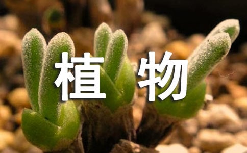 xϲgֲ3004ƪ