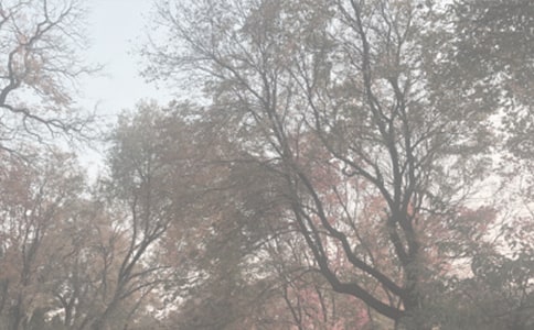 ֲ@ļ