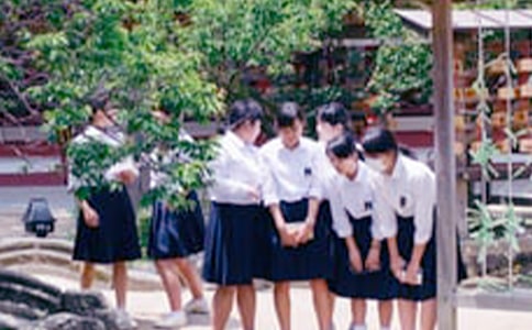 ЌW(xu)D(zhun)W(xu)Ոͨ17ƪ