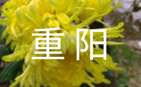 ¾Ԋ裨x7ף