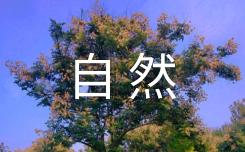 2024꾫xݴȻľӴϼ61l