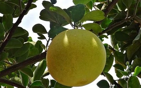 ӵ3ƪá