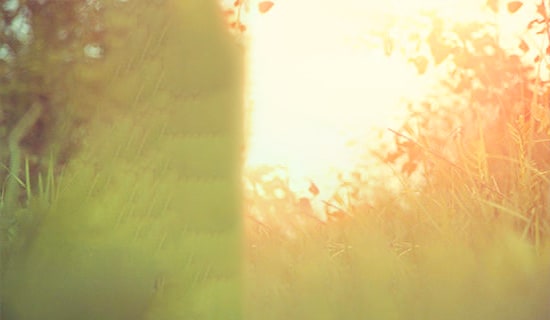 (jin)εΨZ(y)24